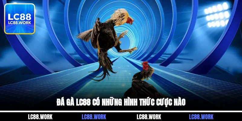 Đá gà LC88 có những hình thức cược nào